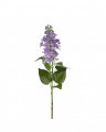 Lilac Cut Flower Blue