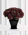 Hortensie Schnittblume bordeaux