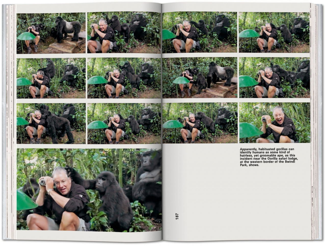 Koolhaas. Countryside, A Report