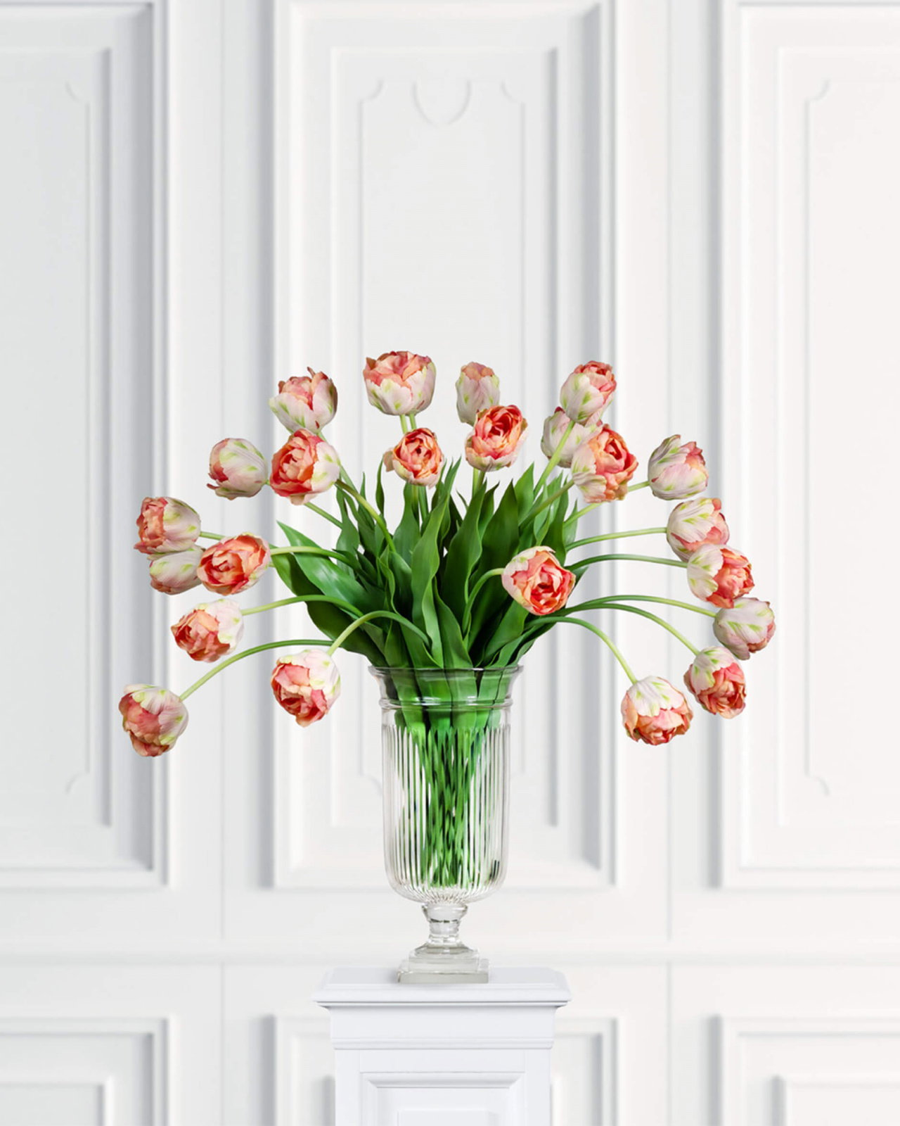 Tulpan snittblomma ljusrosa