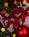 Scarlet Sprig Red