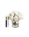 Roses de luxe gavesett