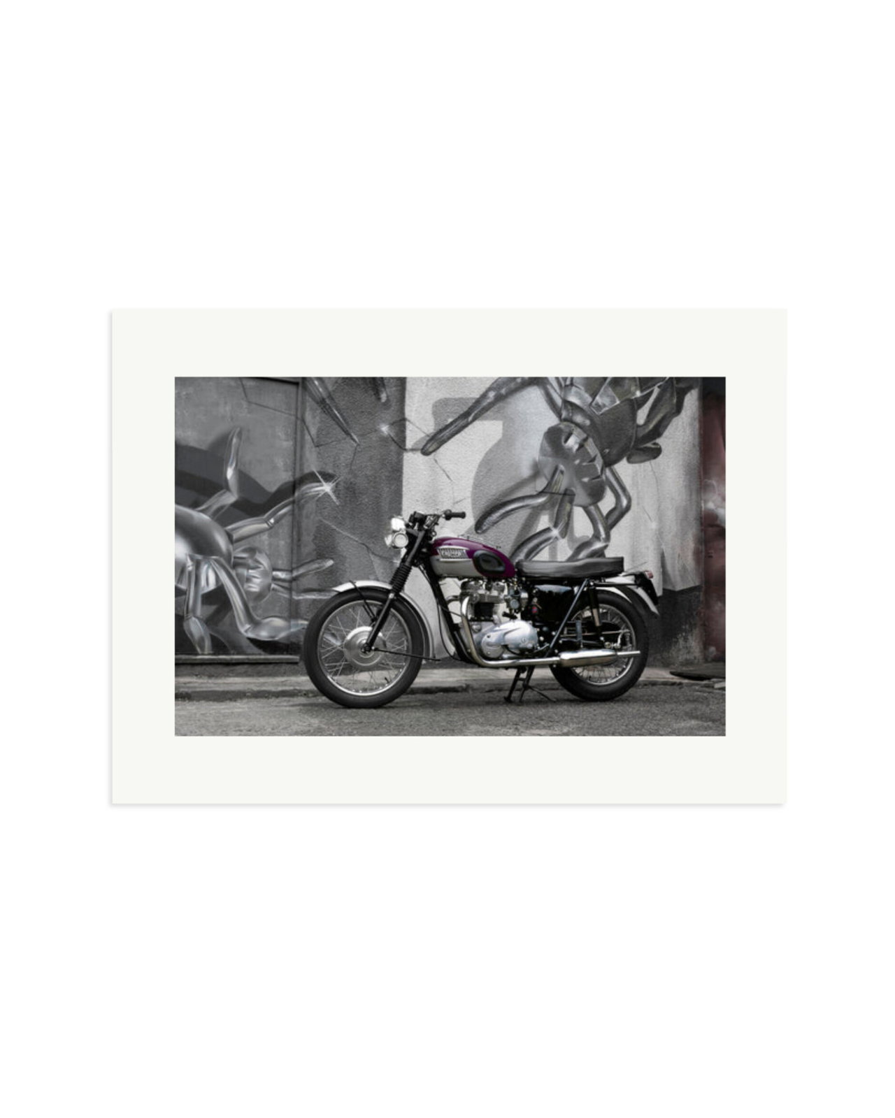 1963 Triumph Trophy Print Only / XL