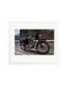 Triumph 1963 White / Large