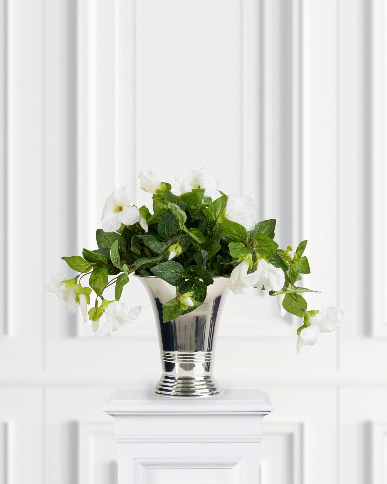 Petunia Potted Plant White