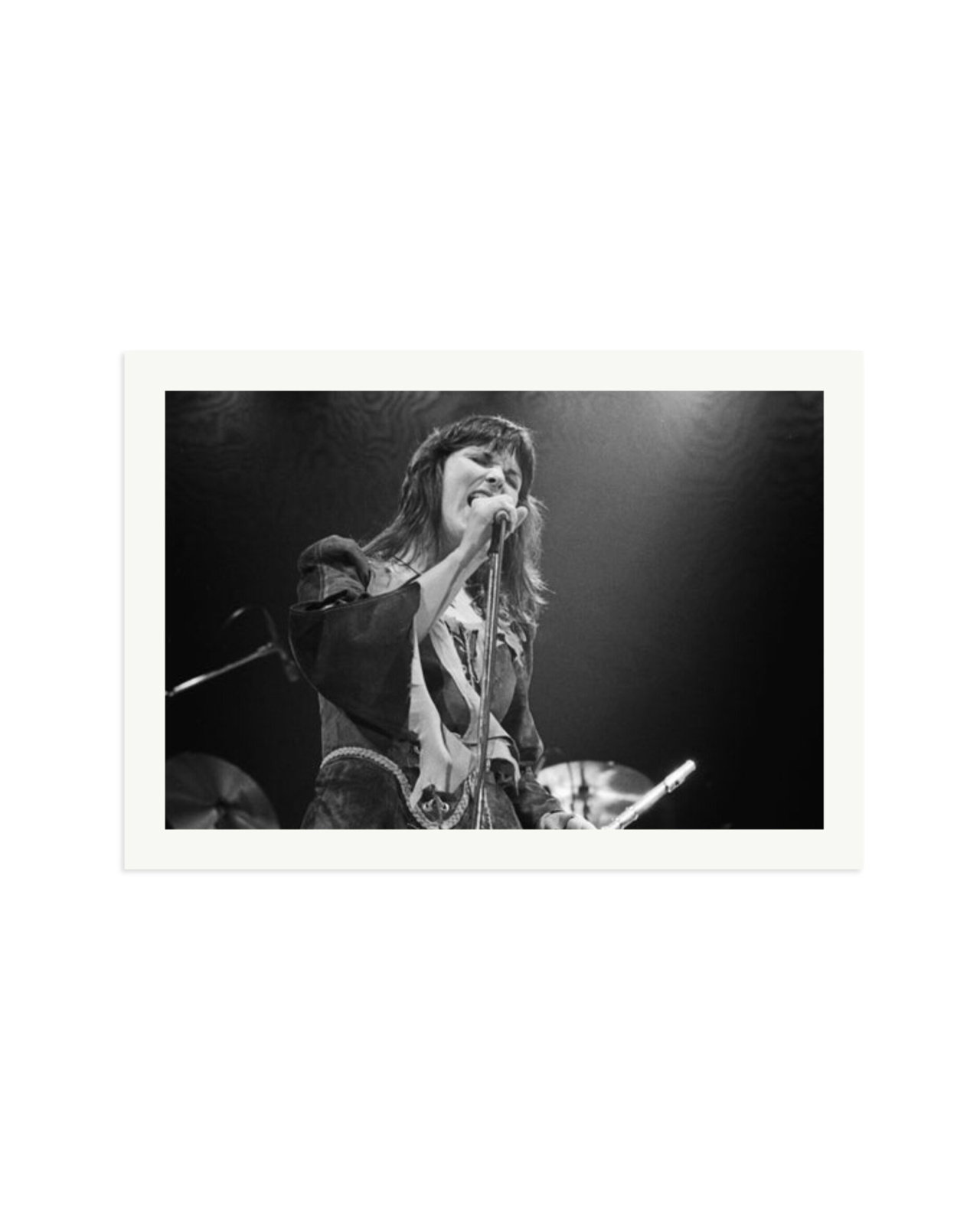 Ann Wilson 1977 Print Only / XXL