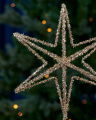 Nanette Tree Topper Gold