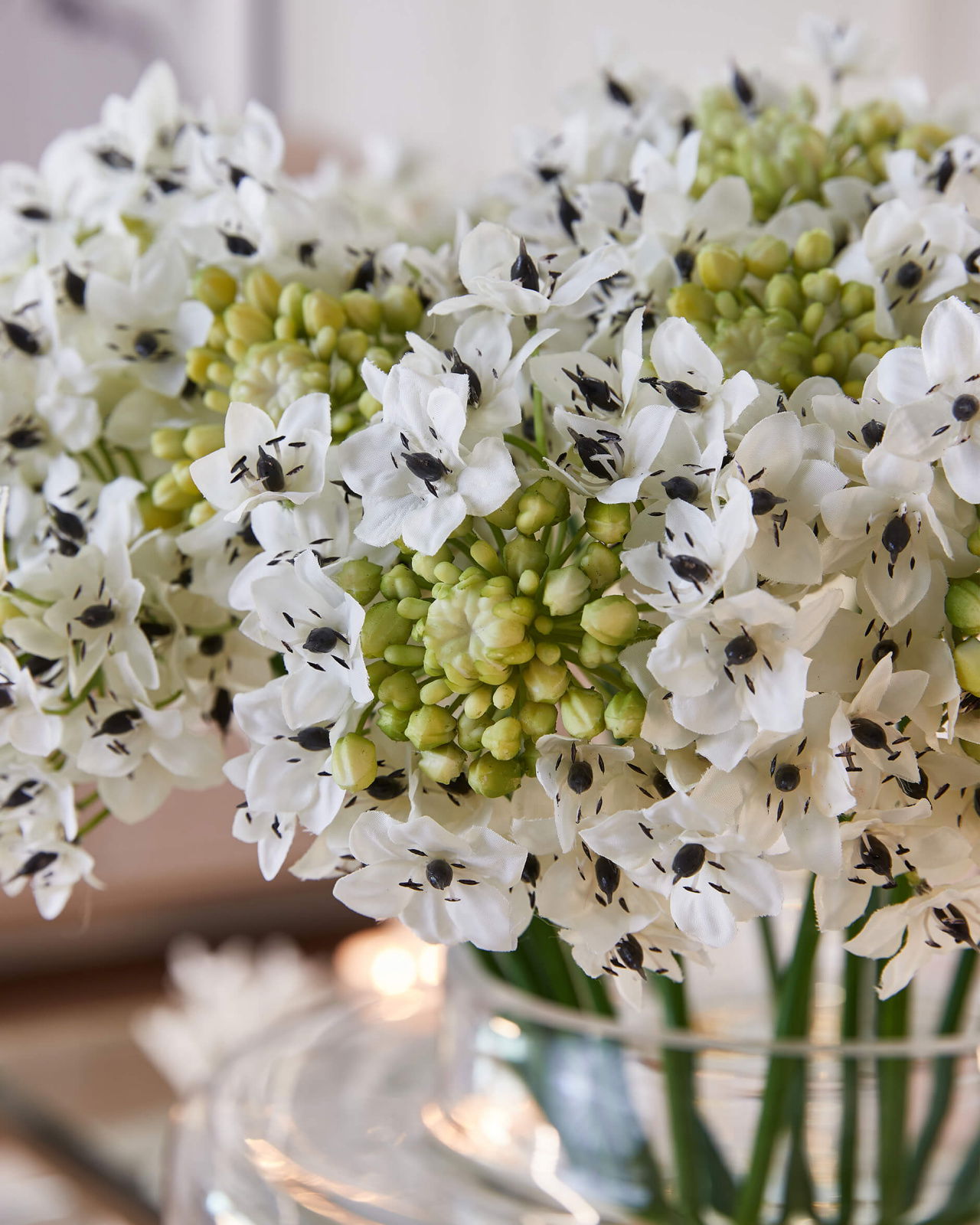 Arabicum snittblomma vit