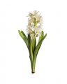 Hyacinth Cut Flower White