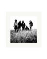 Pearl Jam Print Only / Medium