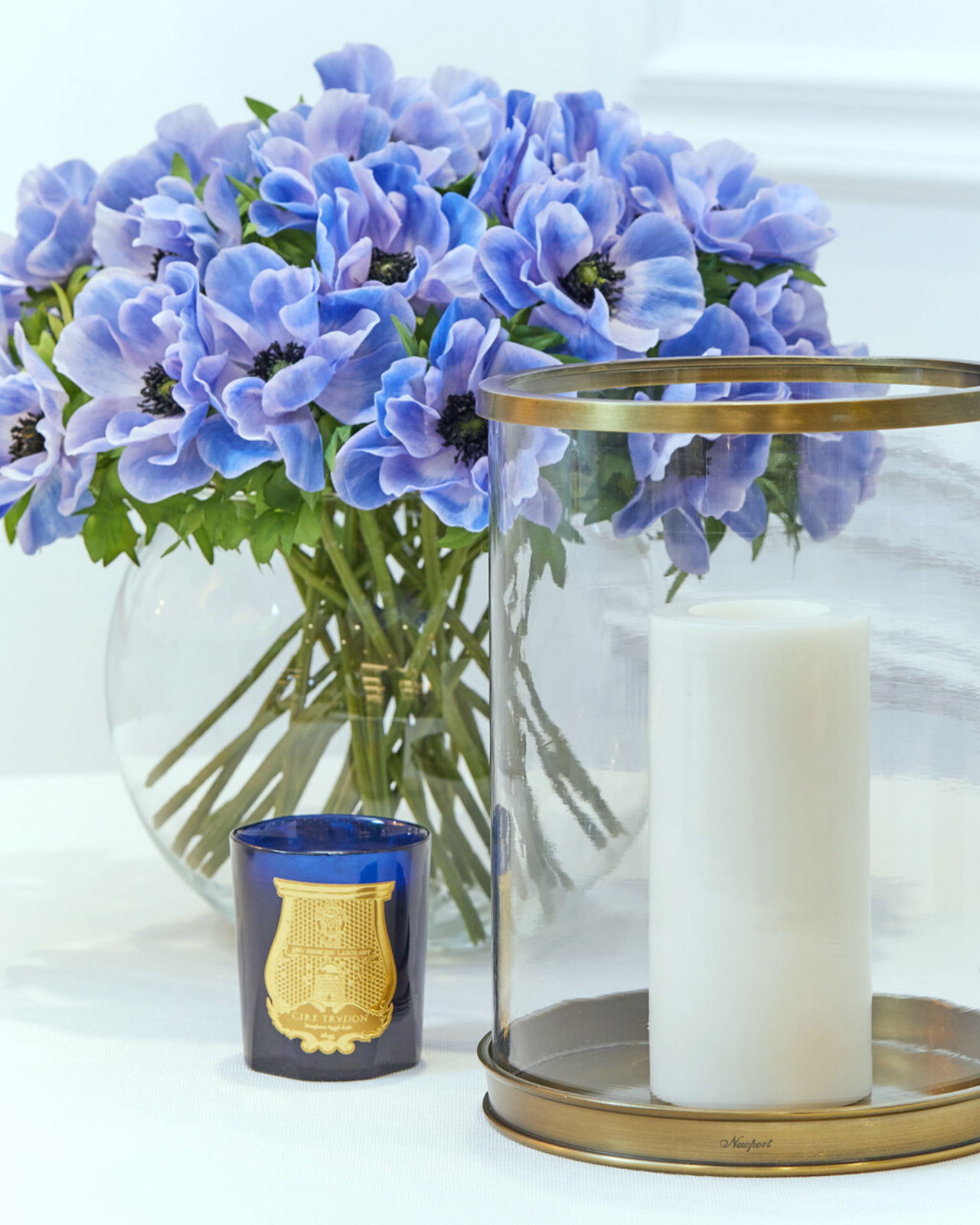 Anemon snittblomma blå