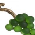 French Grapes ocject green
