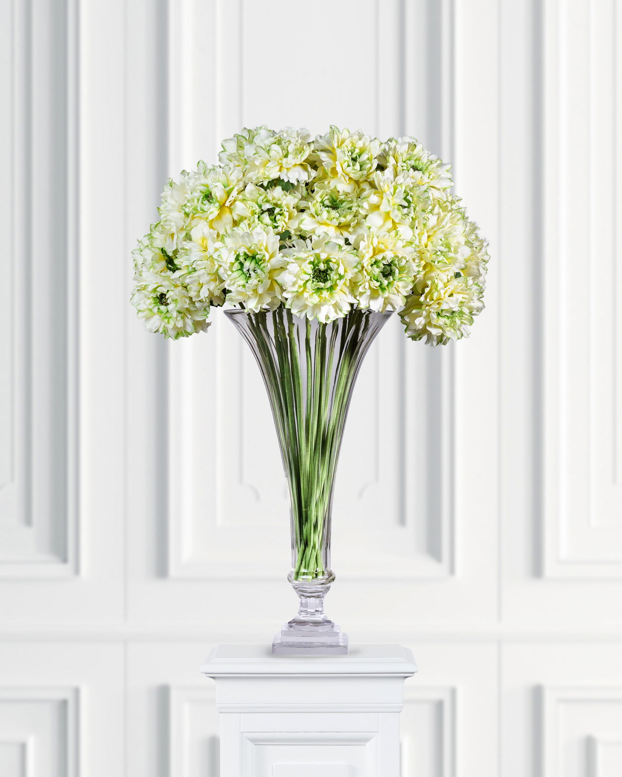 Ranunkel snittblomma grön