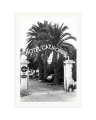 Hotel California Print Only / XXL