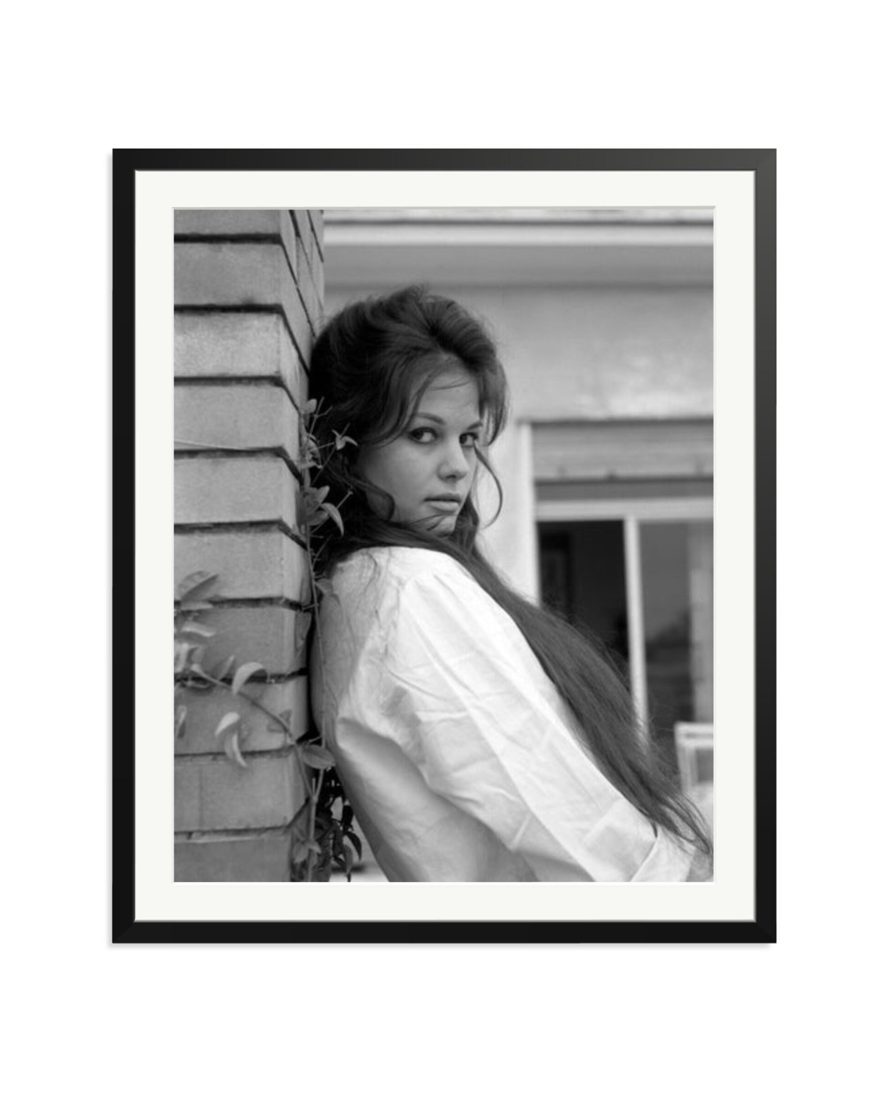 Claudia Cardinale, 1959 Black / XXL