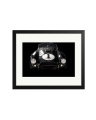 Shelby Cobra Black / Medium