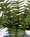 Fern Leaf Green