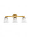 Asalea Triple Vanity Light Hand-Rubbed Antique Brass