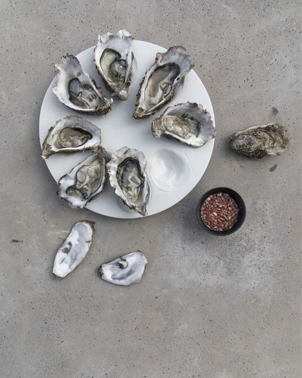 Cotier serveringsfat ostron