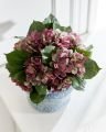 Hortensia snittblomst lilla/grønn