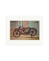 The Norton Print Only / Medium