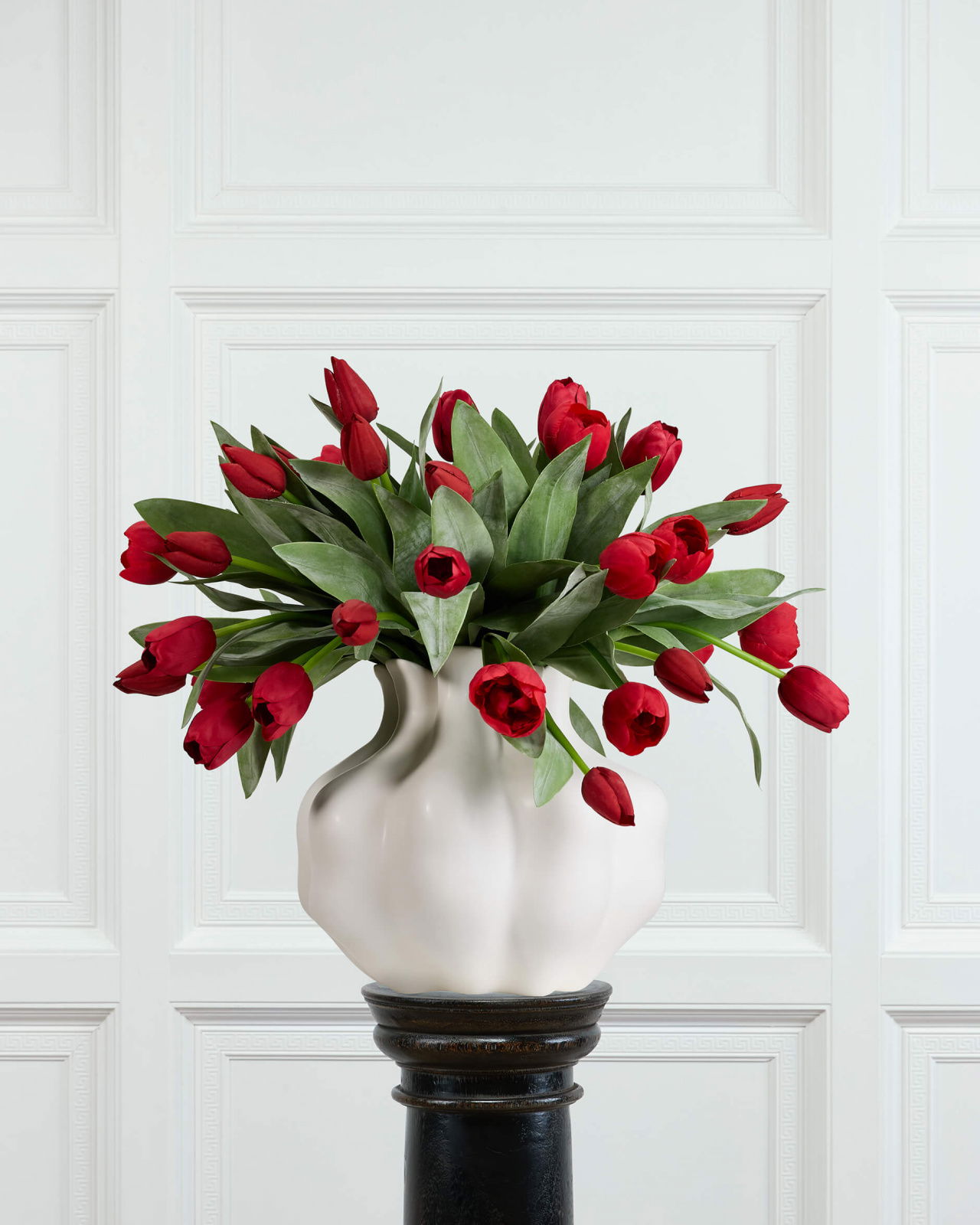 Tulp snijbloem rood