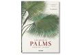 The Book of Palms