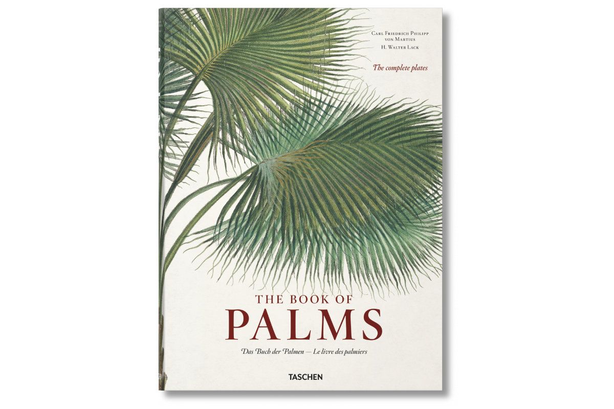 The Book of Palms