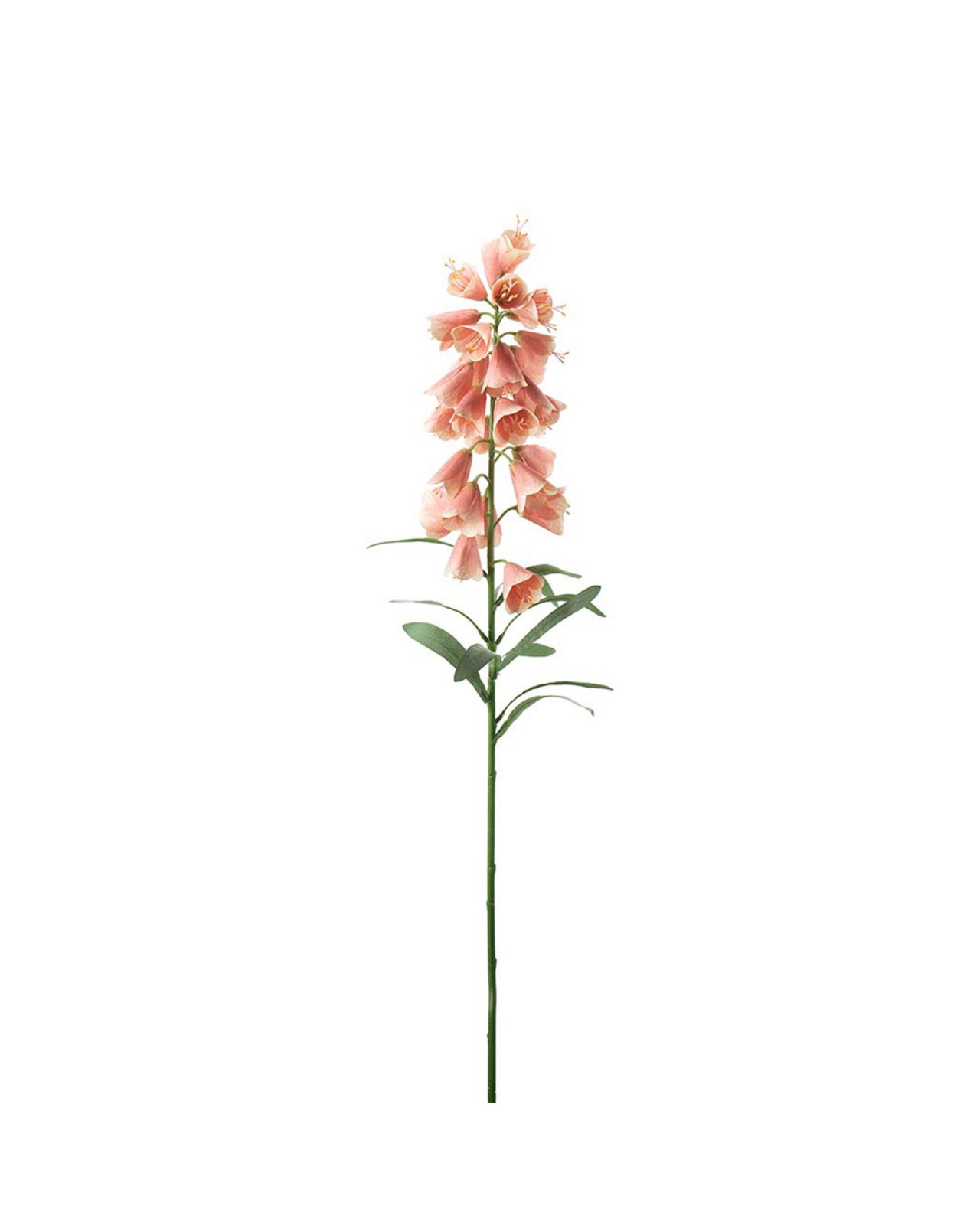 Frittilaria snitblomst rosa