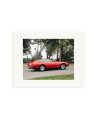 Ferrari Daytona Print Only / Small