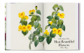 Redouté - Book of Flowers-  40 Series