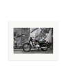 1963 Triumph Trophy Print Only / Medium