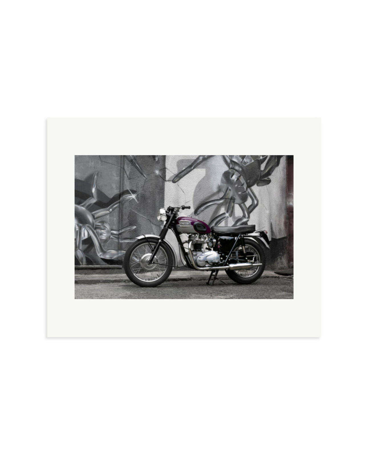 1963 Triumph Trophy Print Only / Medium