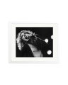 Robert Plant 1977 White / Medium