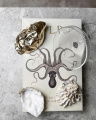 Oyster Bottle Opener Brass