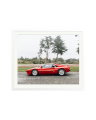 Ferrari 288 GTO, 2017 White / XXL