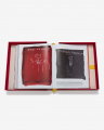 Basquiat: The World of Jean-Michel
