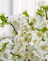 Cherry Blossom Branch White