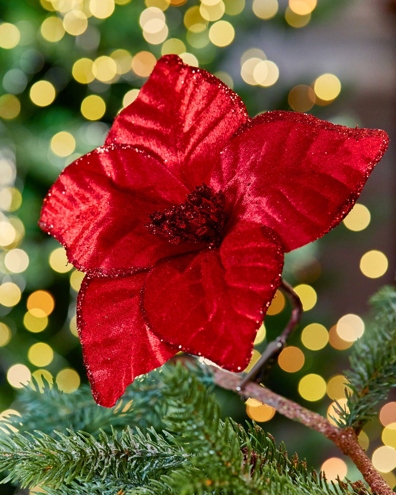 Josephine bloem kerstdecoratie rood