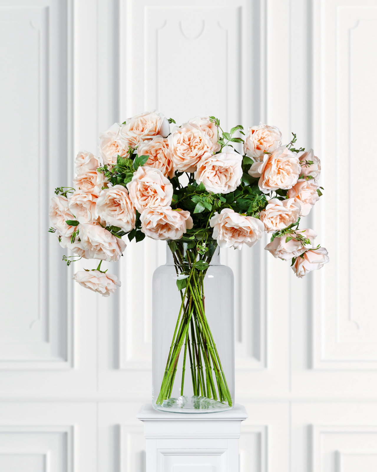 Ros snittblomma persika