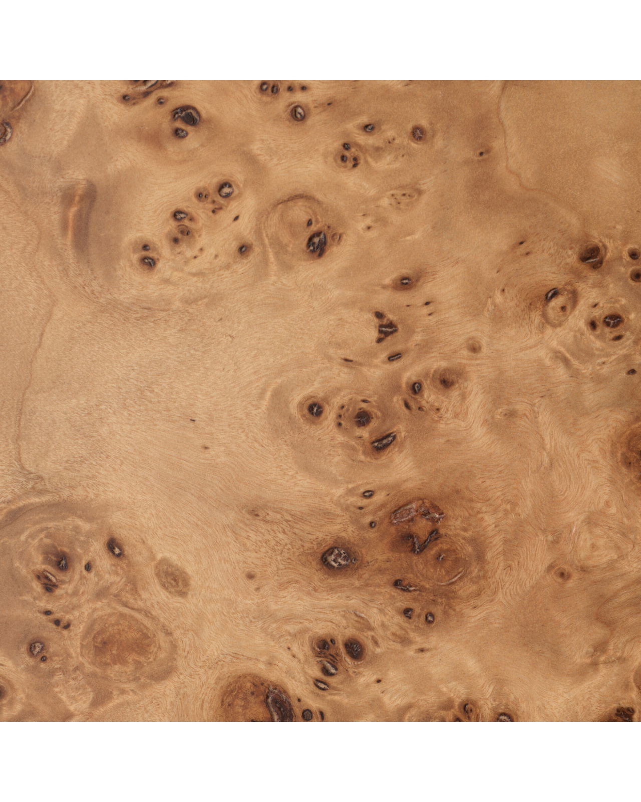 Quinton bogreol light brown mappa burl