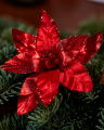 Eleanor Poinsettia Ornament Red