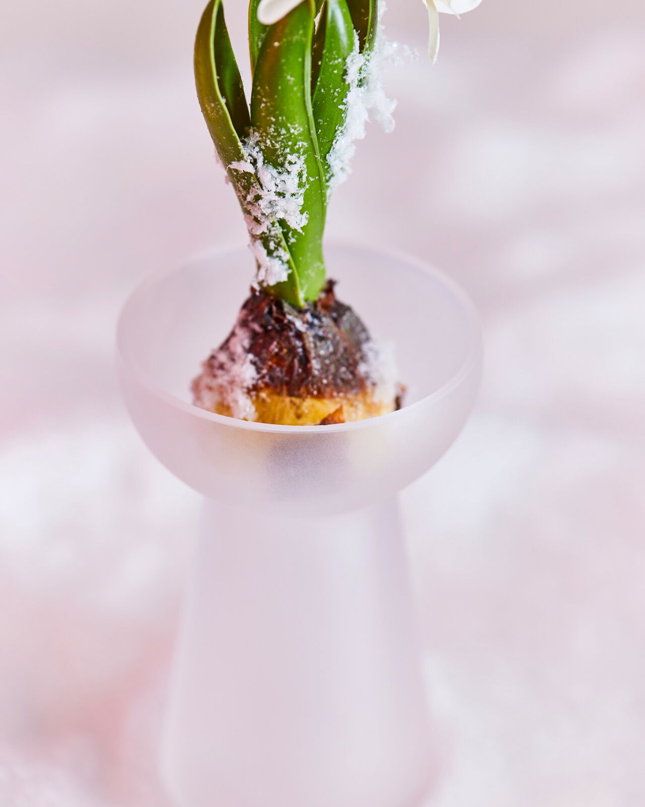 Eudora-hyasinttimaljakko