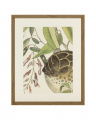 Frog, Balsam, Lizard, Fish (set of 4)