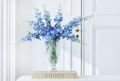 Delphinium snittblomma blå