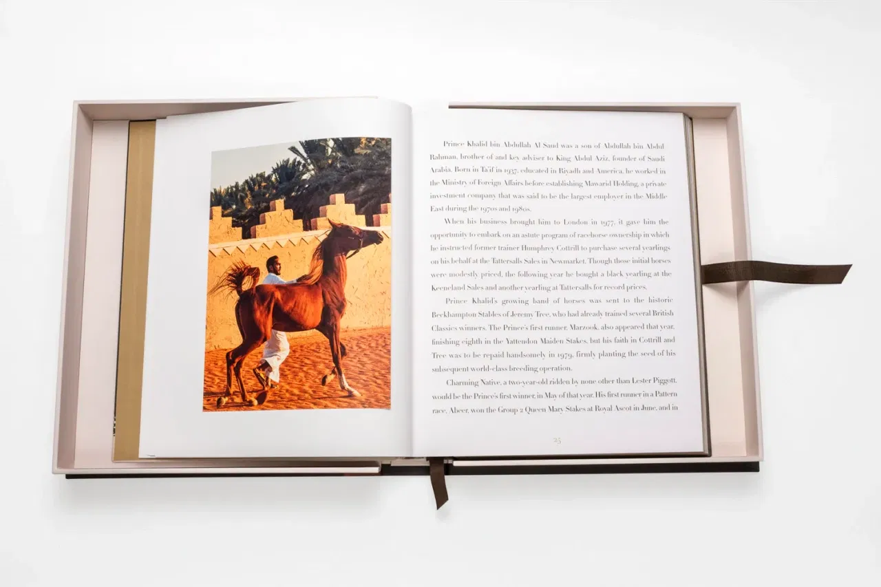 Horses From Saudi Arabia