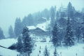 Winter In Gstaad