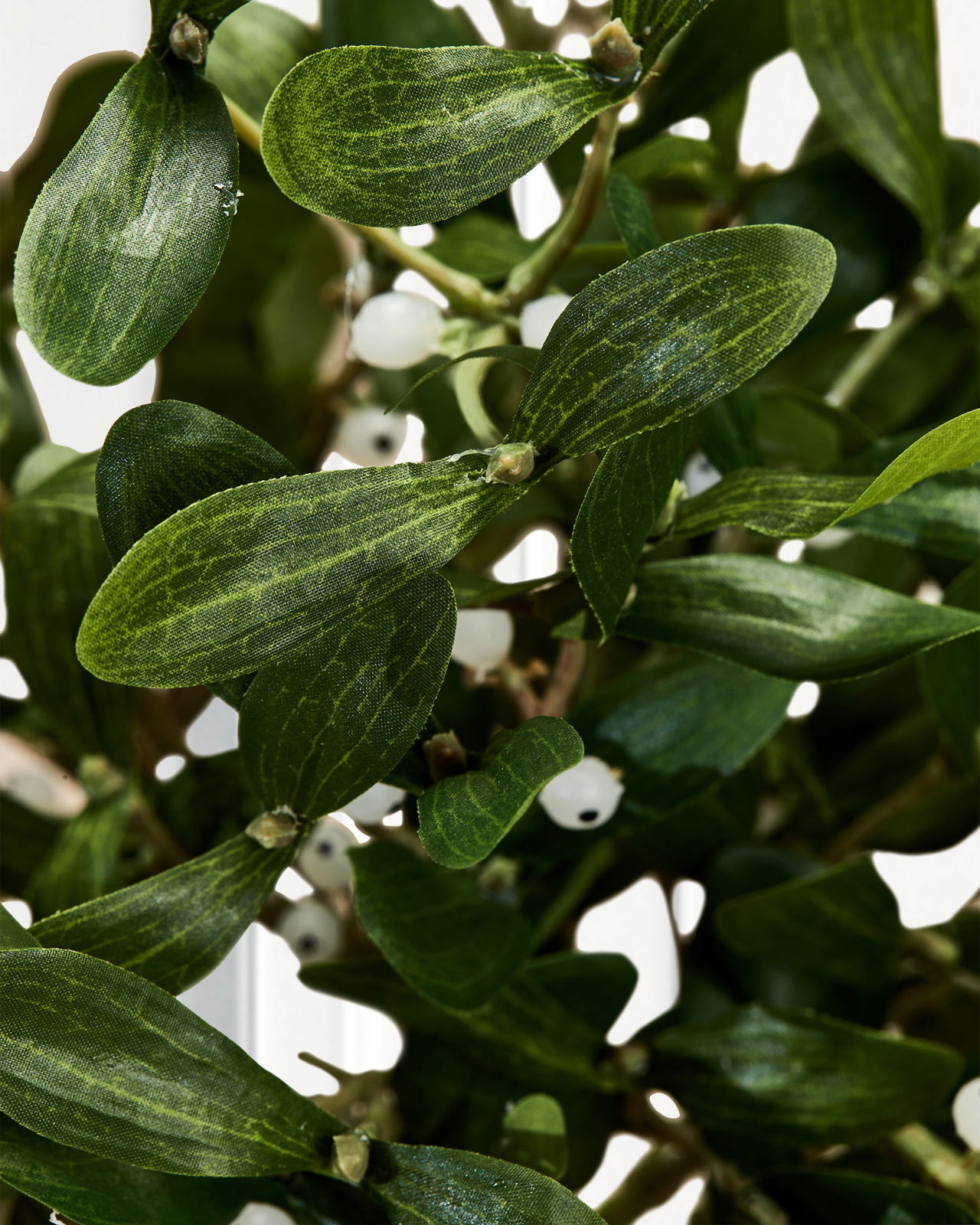Mistel snittblomma grön