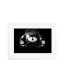 Shelby Cobra White / XL