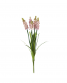 Druifhyacint snijbloem roze